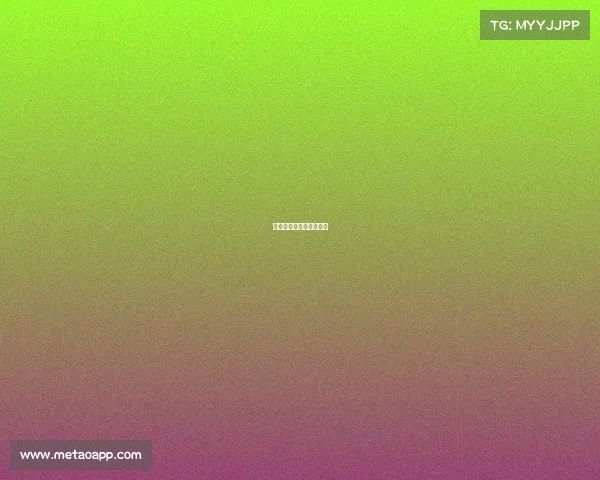 全运会天津女排最新消息