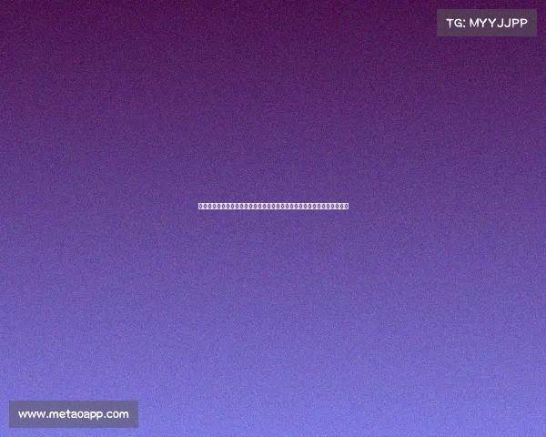 国际汽联赛事在全球舞台风驰电掣挑战速度极限融合尖端科技激发无限激情