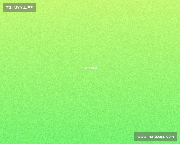 2016年的比赛 2016年的比赛