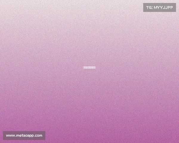 网球级别评定划分